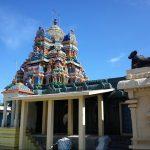 2017-08-01 (6), Theerthapureeswarar Temple, Thirunelvayil Arathurai, Cuddalore