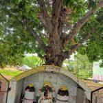 2017-08-28 (1), Kanchanagiri Shiva Temple, Vellore
