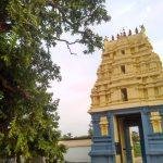 2017-09-22 (2), Nootreteeswarar Temple, Chinnakavanam, Thiruvallur