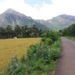 2017-09-27 (1), Emperumal Temple, Chiramadam, Kanyakumari