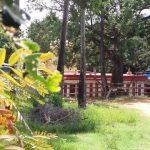 2017-09-27, Emperumal Temple, Chiramadam, Kanyakumari