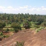 2017-09-29 (4), Kumara Gurubaran Temple, Thazhakudy, Kanyakumari