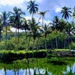 2017-09-30 (6), Mahishasura Mardhini Temple, Valvachagostam, Kanyakumari