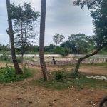 2017-0Z8-19 (1), Viswanathar Navagraha Temple, Pazhur, Trichy