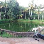 2017-10-02 (15), Mahishasura Mardhini Temple, Valvachagostam, Kanyakumari