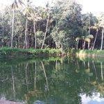 2017-10-02 (4), Mahishasura Mardhini Temple, Valvachagostam, Kanyakumari