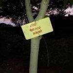 2017-10-19 (26), Pagalavadi Shiva Temple & Siddhar Peedam, Trichy