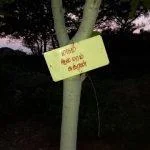 2017-10-19 (26), Pagalavadi Shiva Temple & Siddhar Peedam, Trichy