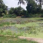 2017-11-09, Thiruneetreshwarar Temple, Padiyanallur, Thiruvallur