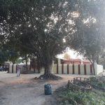 2017-11-19 (4), Niranjeeswarar Temple, Chinnamandalai, Thiruvallur