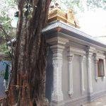 2017-11-2fdfsf6 (2), Nagathamman Temple, Mylapore, Chennai