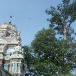 2017-12-05 (1), Saptharisheeswarar Temple, Thiruthalaiyur, Trichy