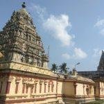 2017-12-15, Varadaraja Perumal Temple, Minjur, Thiruvallur