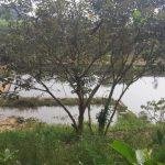 2017-12-15 (5), Aavundeeswarar Temple, Nemam, Thiruvallur