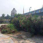 2017-12-15 (7), Thiruthaleeshwarar Temple, Aranvoyal, Thiruvallur