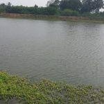 2017-12-15hh (5), Thiruthaleeshwarar Temple, Aranvoyal, Thiruvallur