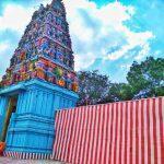 2017-12-17, Chitra Radha Vallabha Perumal Temple, Kuruvithurai, Madurai