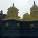 2017-12-25 (1) (1), Kariamanicka Perumal Temple, Pakkam, Thiruvallur