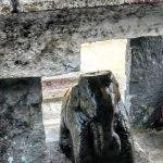 2017-12-31 (2), Kandhaswamy Temple, Manavur, Thiruvallur