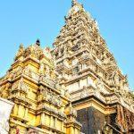 2017-12-ssfd28, Veetrirundha Perumal Temple, Thirumazhisai, Thiruvallur