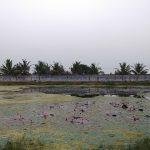 2017-12-vvg17, Parvatheeswarar Temple, Medhur, Thiruvallur