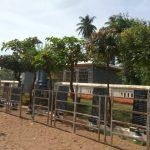 2017-bn08-01, Veerattaneswarar Thiruvathigai Temple, Panruti, Cuddalore,