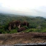 2017-g09-17, Malayadi Mala Mahadevar Temple, Malayadi, Kanyakumari