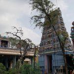20171029_094328, Vengeeswarar Temple, Vadapalani, Chennai