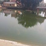 2018-01-03 (6), Vyagrapureeswarar Temple, Sembilivaram, Thiruvallur