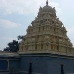 2018-01-20 (10), Nootreteeswarar Temple, Chinnakavanam, Thiruvallur