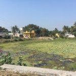 2018-01-31 (1), Vaikunda Perumal Temple, Vayalanallur, Thiruvallur