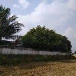 2018-02-10 (2), Chandramouleeswarar Temple, Thazhamangai, Thanjavur
