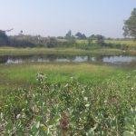 2018-03-06 (2), Kalinga Nadheeswarar Temple, Irulancheri, Thiruvallur