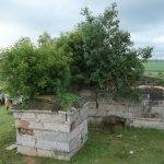 21317558_1940100582895579_1447071093694129381_n