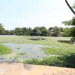 21803925728_0fc43ec38a_k, Soundaryeswarar Temple, Thirunaraiyur, Cuddalore