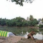 21892185562_2b088589be_h, Thuyartheertha Nathar Temple, Omampuliyur, Cuddalore