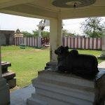 2293227427_5886c3b99d_z, Somanatheswarar Temple, Somangalam, Kanchipuram