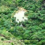 Thovalai Murugan Temple, Kanyakumari