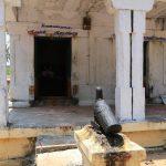 26489964551_ae14ad46a9_h, Aramvalartha Eswarar Temple, Kanchipuram