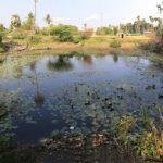 26553591025_d88d88ddd4_h, Somanatheswarar Temple, Kolathur, Kanchipuram