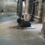 3143198337_ce29f76c1e_b, Vilvanatheswarar Temple, Thiruvalam, Vellore