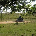 3144563660_e8cd32673c_b, Kanchanagiri Shiva Temple, Vellore