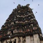 3420750802_9e390d717f_b, Kodi Kuzhagar Temple, Kodiakkarai, Nagapattinam
