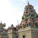 382499_418469978267495_1383519440_n