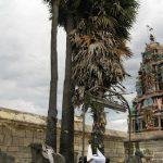 3982704039_802298ddb4_b, Panangaateeswarar Temple, Panaiyapuram, Villupuram