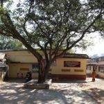 40246698751_08af46c7b5_k, Kanchi Kamakoti Peetam, Kalavai, Vellore