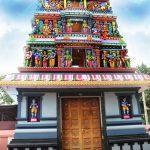 43254233, Karavilagam Krishna Temple, Marthandam, Kanyakumari