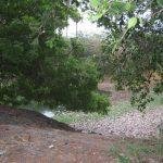 4504148527_b7078a528f_z, Swayambeeswarar Temple, Illalur, Thiruporur, Kanchipuram