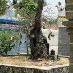 ......., Vamanapureeswarar Temple, Thirumanikuzhi, Cuddalore