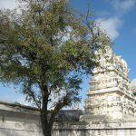 4562639767_f31c0cc97e_b, Kandhaswamy Temple, Cheyyur, Kanchipuram